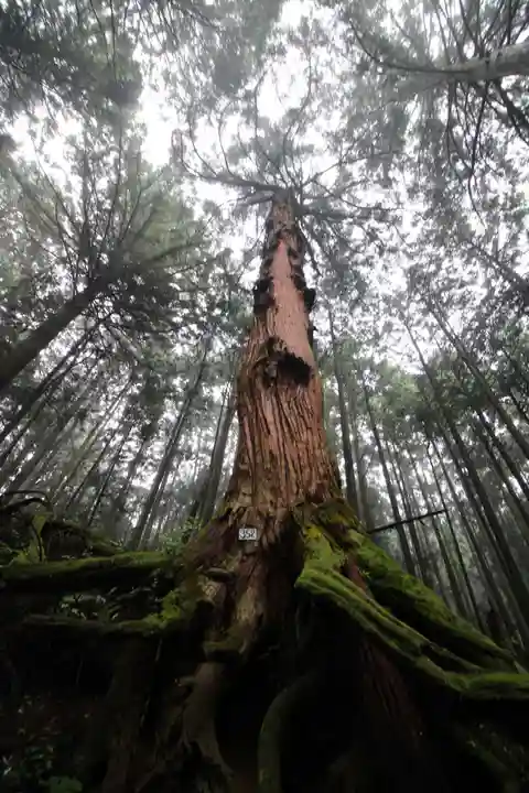 武蔵御嶽神社の自然