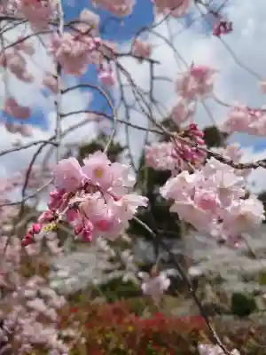 粉河寺の{uncategorized: "未分類", other: "その他", undefined: "問題あり", building: "その他建物", grave: "お墓", sacred_gate: "鳥居", guardian: "狛犬", statue: "像", buddha: "仏像", history: "歴史", nature: "自然", garden: "庭園", animal: "動物", pagoda: "塔", temizu: "手水舎", mountain_gate: "山門・神門", sanctuary: "本殿・本堂", subordinate: "末社・摂社", art: "芸術", scenery: "景色", jizo: "地蔵", ema: "絵馬", goshuin: "御朱印", omikuji: "おみくじ", items: "授与品その他", amulet: "お守り", goshuincho: "御朱印帳", eats: "食事", festival: "お祭り", votive_dance: "神楽", shichigosan: "七五三参", wedding: "結婚式", experience: "体験その他", initially: "初詣", around: "周辺", anti_infection: "感染症対策"}