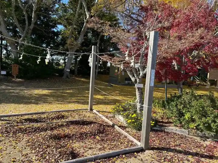 白子神社の{uncategorized: "未分類", other: "その他", undefined: "問題あり", building: "その他建物", grave: "お墓", sacred_gate: "鳥居", guardian: "狛犬", statue: "像", buddha: "仏像", history: "歴史", nature: "自然", garden: "庭園", animal: "動物", pagoda: "塔", temizu: "手水舎", mountain_gate: "山門・神門", sanctuary: "本殿・本堂", subordinate: "末社・摂社", art: "芸術", scenery: "景色", jizo: "地蔵", ema: "絵馬", goshuin: "御朱印", omikuji: "おみくじ", items: "授与品その他", amulet: "お守り", goshuincho: "御朱印帳", eats: "食事", festival: "お祭り", votive_dance: "神楽", shichigosan: "七五三参", wedding: "結婚式", experience: "体験その他", initially: "初詣", around: "周辺", anti_infection: "感染症対策"}