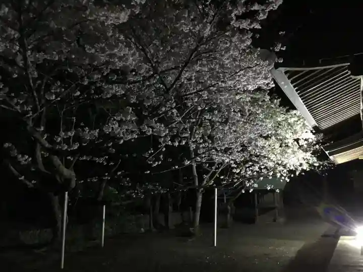 白羽神社の自然