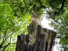 天神社(奈良県)