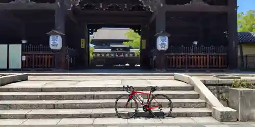 東寺（教王護国寺）(京都府)