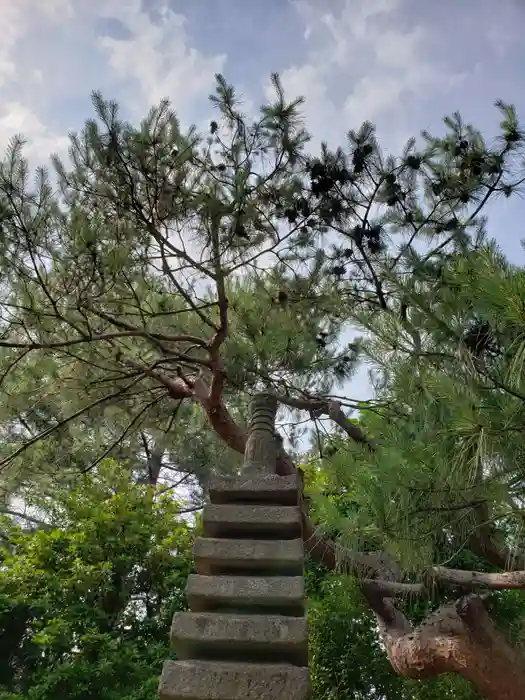 西方寺の建物その他