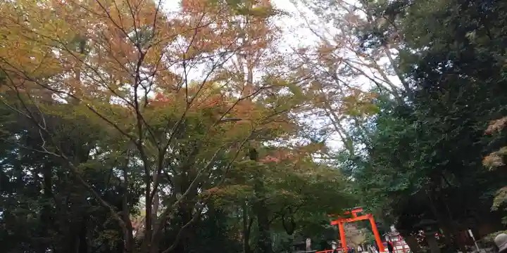 賀茂御祖神社(下鴨神社)のその他建物