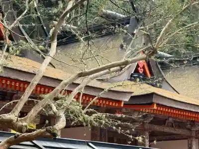 丹生都比売神社(和歌山県)