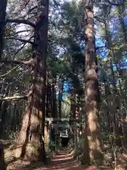 青山神社(茨城県)