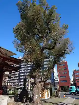 大森神社(東京都)