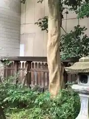 八幡神社(福井県)