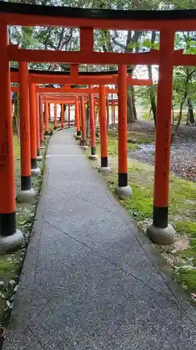 橿原神宮の鳥居