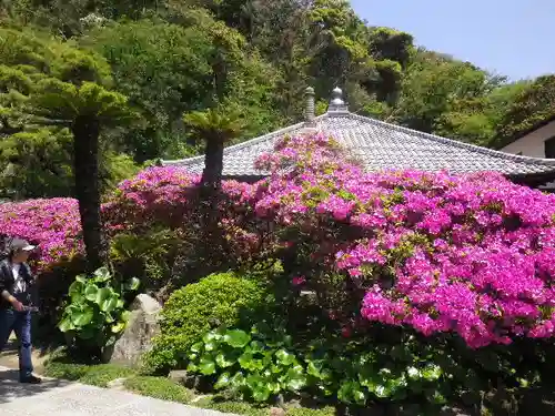 安養院　(田代寺）の庭園