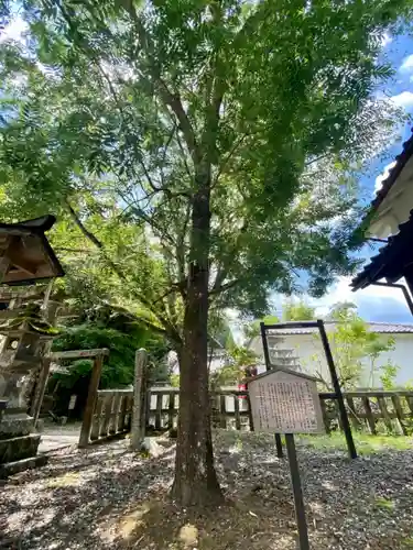 生身天満宮の自然