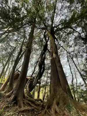 大山祗神社(埼玉県)
