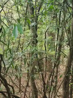 お姫様神社(栃木県)