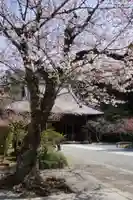 妙本寺(神奈川県)