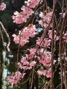 蚊里田八幡宮(長野県)(2025年04月12日(土) 14時35分42秒投稿)
