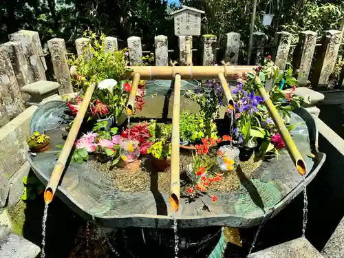 熊野那智大社(和歌山県)