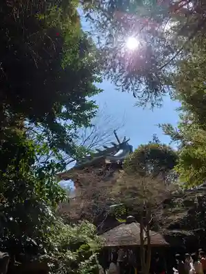 寒川神社(神奈川県)