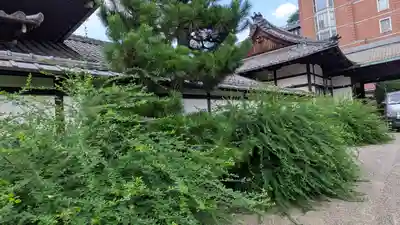 大聖寺門跡(京都府)