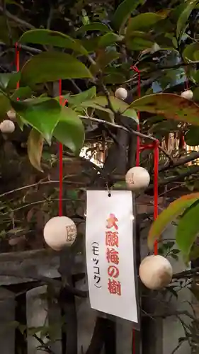 錦天満宮のその他建物