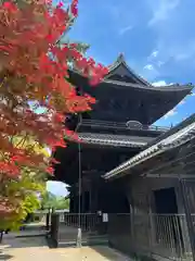 大樹寺（松安院大樹寺）(愛知県)