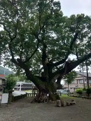 土肥神社(静岡県)