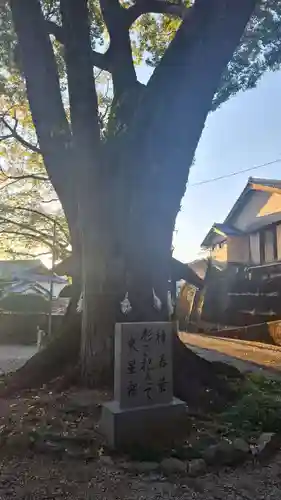 若一王子宮(高知県)