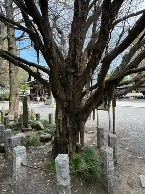 秩父神社(埼玉県)