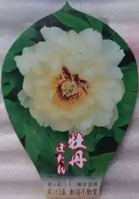 新宿不動堂の授与品その他