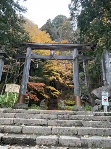 戸隠神社宝光社の鳥居