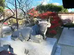 多賀神社の狛犬