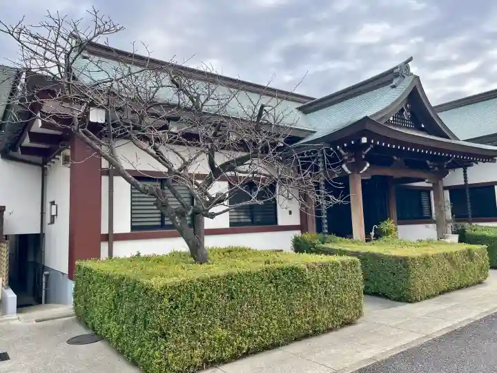 常光寺の{uncategorized: "未分類", other: "その他", undefined: "問題あり", building: "その他建物", grave: "お墓", sacred_gate: "鳥居", guardian: "狛犬", statue: "像", buddha: "仏像", history: "歴史", nature: "自然", garden: "庭園", animal: "動物", pagoda: "塔", temizu: "手水舎", mountain_gate: "山門・神門", sanctuary: "本殿・本堂", subordinate: "末社・摂社", art: "芸術", scenery: "景色", jizo: "地蔵", ema: "絵馬", goshuin: "御朱印", omikuji: "おみくじ", items: "授与品その他", amulet: "お守り", goshuincho: "御朱印帳", eats: "食事", festival: "お祭り", votive_dance: "神楽", shichigosan: "七五三参", wedding: "結婚式", experience: "体験その他", initially: "初詣", around: "周辺", anti_infection: "感染症対策"}