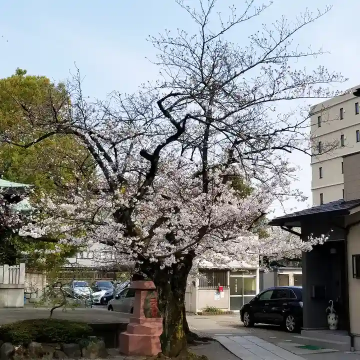 木場 洲﨑神社の自然