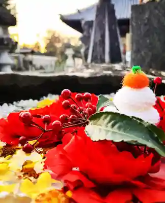 真言宗　善通寺派　薬王寺(香川県)