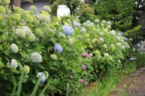 開成山大神宮の庭園