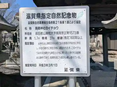 長岡神社の{uncategorized: "未分類", other: "その他", undefined: "問題あり", building: "その他建物", grave: "お墓", sacred_gate: "鳥居", guardian: "狛犬", statue: "像", buddha: "仏像", history: "歴史", nature: "自然", garden: "庭園", animal: "動物", pagoda: "塔", temizu: "手水舎", mountain_gate: "山門・神門", sanctuary: "本殿・本堂", subordinate: "末社・摂社", art: "芸術", scenery: "景色", jizo: "地蔵", ema: "絵馬", goshuin: "御朱印", omikuji: "おみくじ", items: "授与品その他", amulet: "お守り", goshuincho: "御朱印帳", eats: "食事", festival: "お祭り", votive_dance: "神楽", shichigosan: "七五三参", wedding: "結婚式", experience: "体験その他", initially: "初詣", around: "周辺", anti_infection: "感染症対策"}