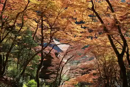 金剛院(京都府)