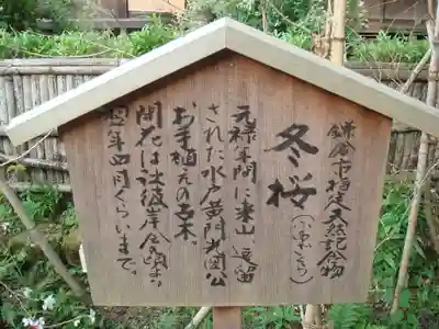 瑞泉寺の歴史