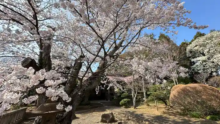 柏木神社(宮城県)