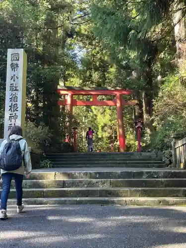 箱根神社の鳥居