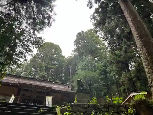 大宮温泉神社(栃木県)