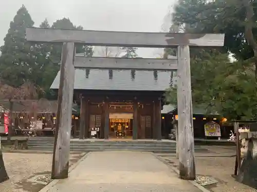 射水神社の鳥居