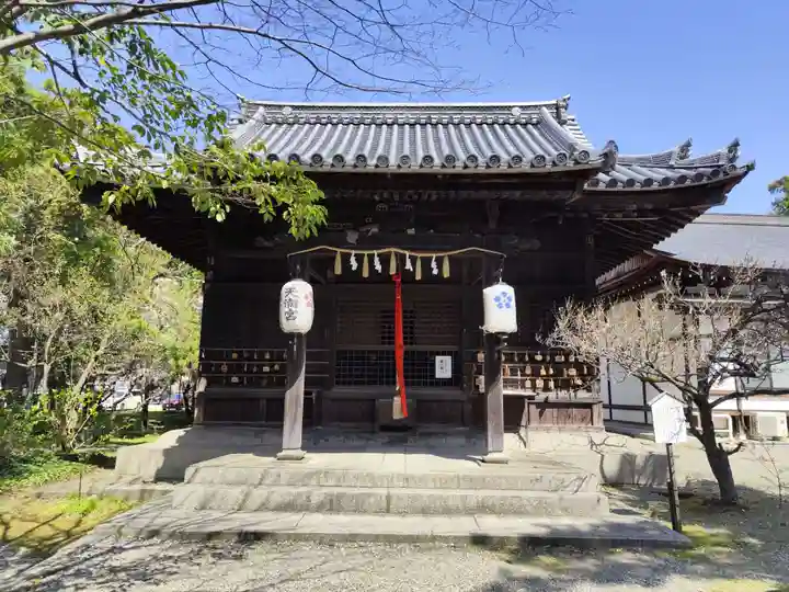 長浜八幡宮(滋賀県)