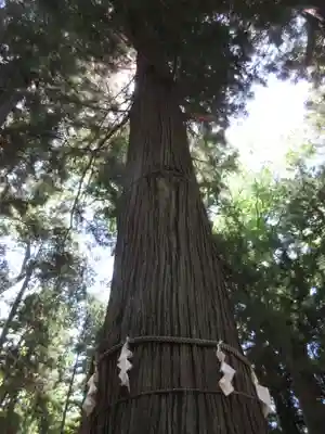 河口浅間神社のその他建物