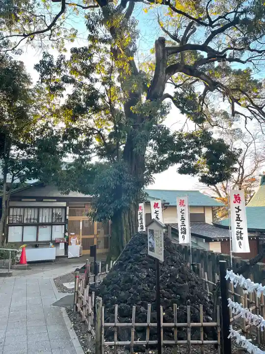 北澤八幡神社のその他建物