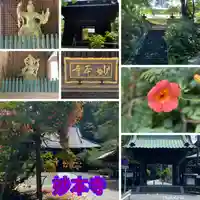 妙本寺(神奈川県)