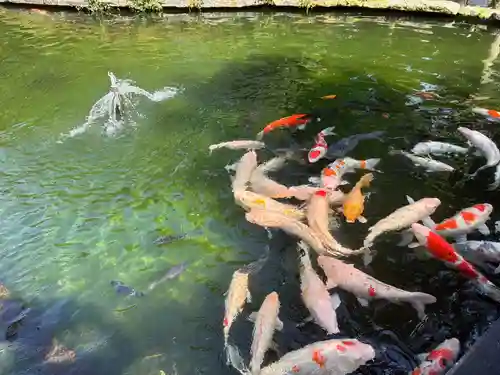霊山寺(徳島県)