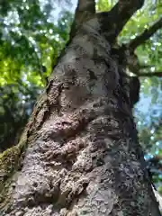 丹生川上神社（下社）(奈良県)