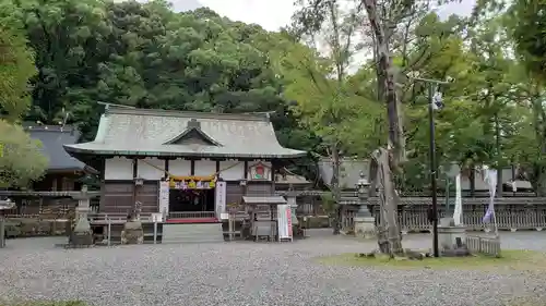 闘鶏神社の本殿・本堂