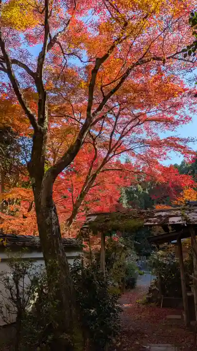 吟松寺(京都府)