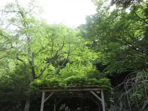 安國論寺（安国論寺）の自然